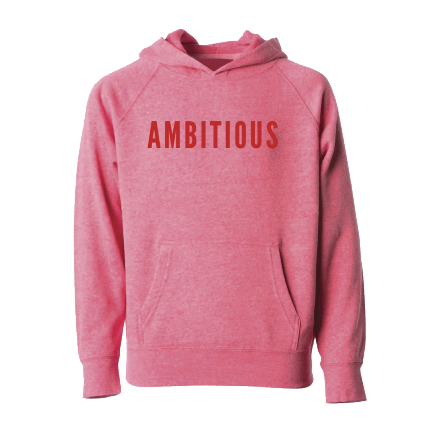 Ambitious Lightweight Hoodie Sweatshirt (Kids)