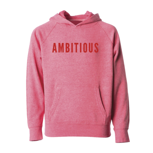 Ambitious Lightweight Hoodie Sweatshirt (Kids)