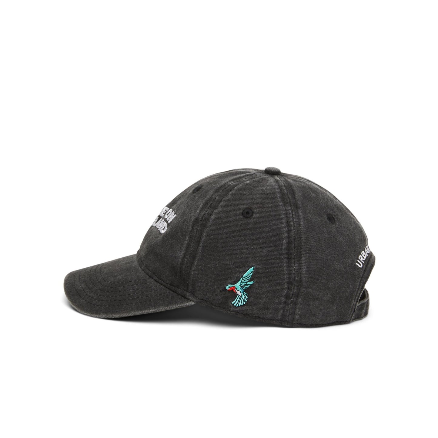 You Are On Native Land Dad Cap (Black)